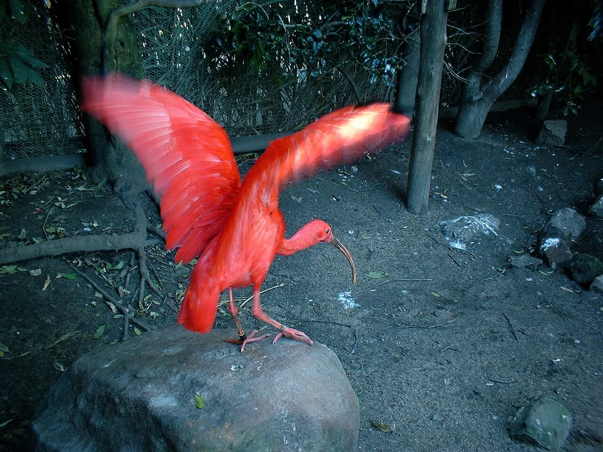 Queens Park Zoological Gardens