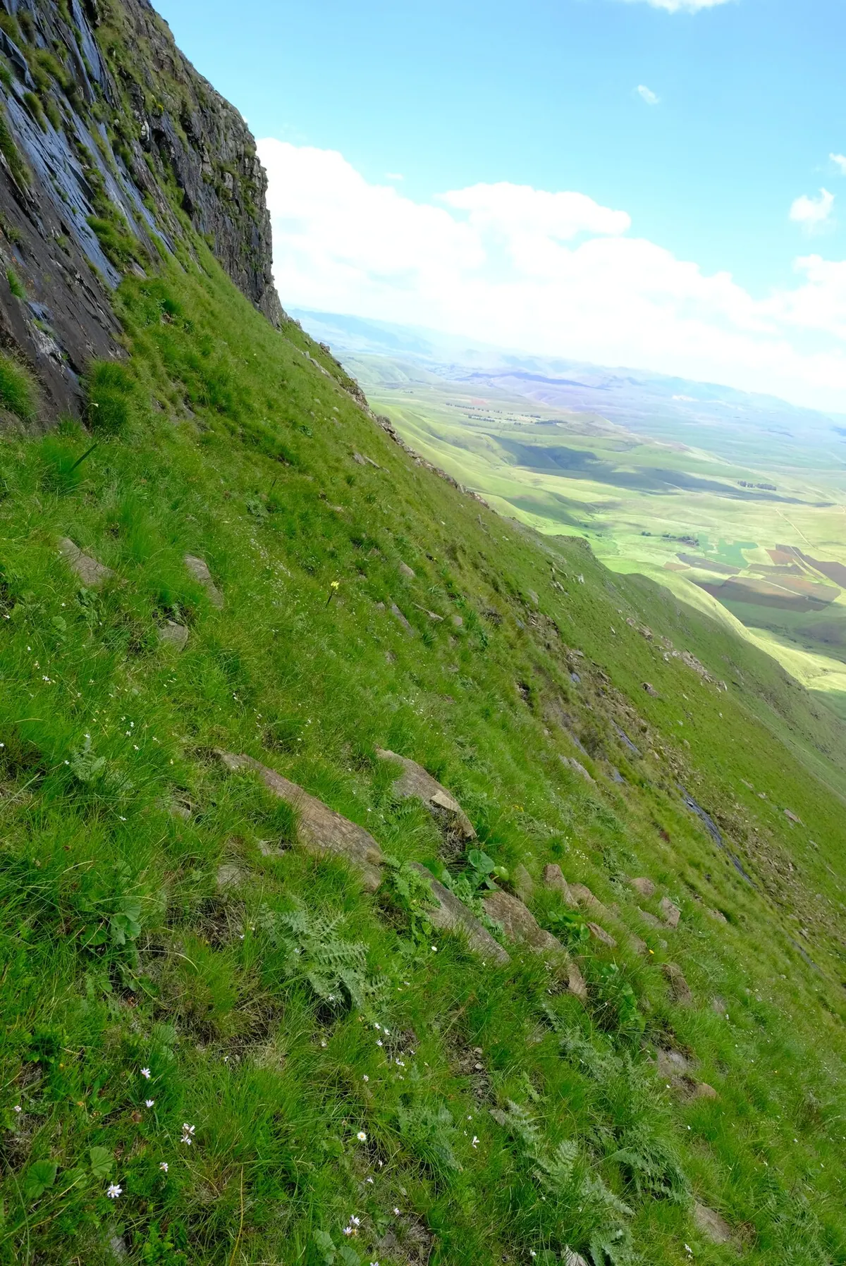 Grasslands National Park