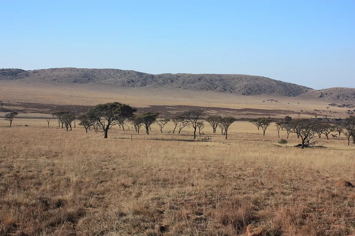Kgaswane Mountain Nature Reserve