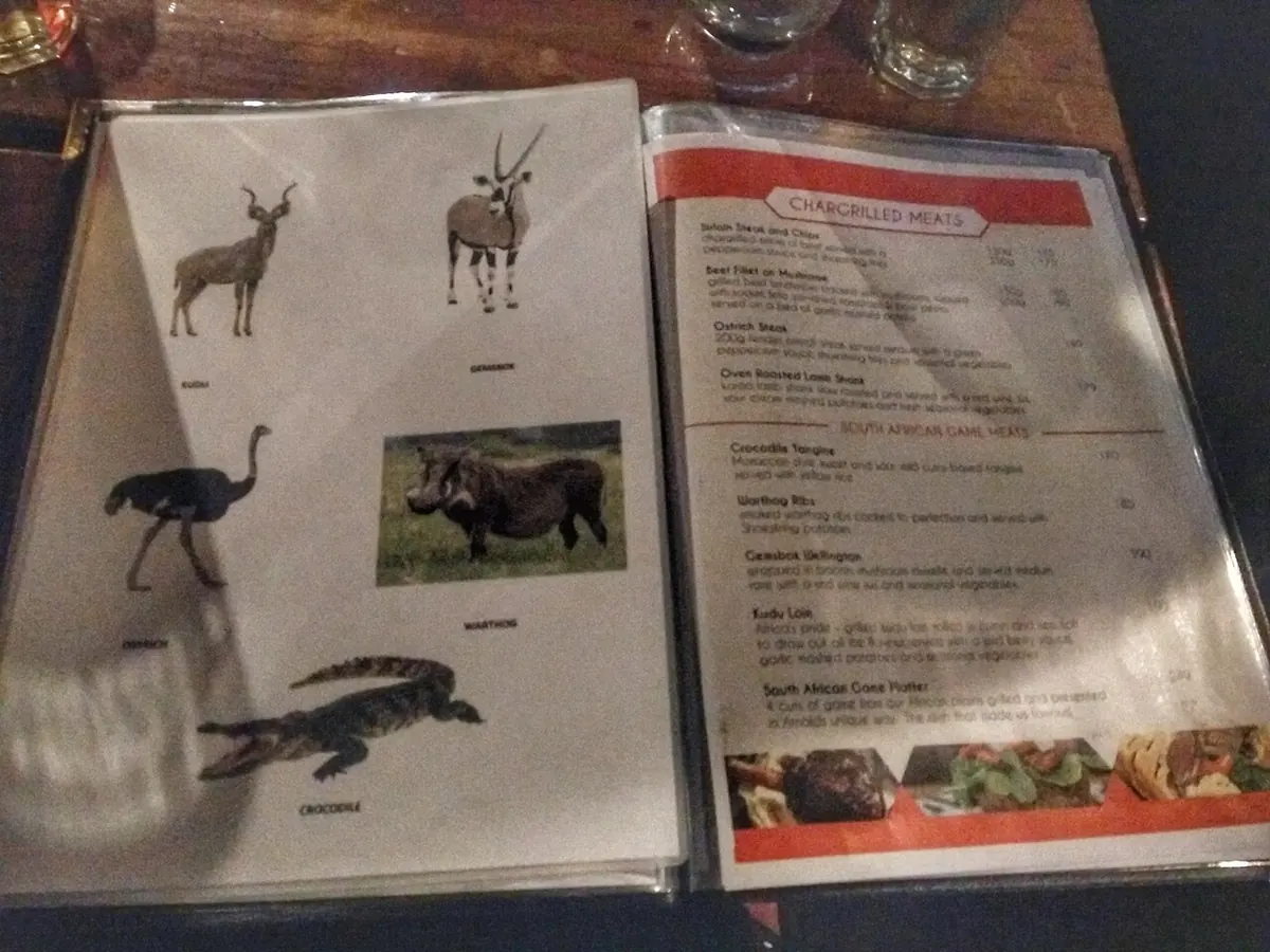 Capetown Backpackers