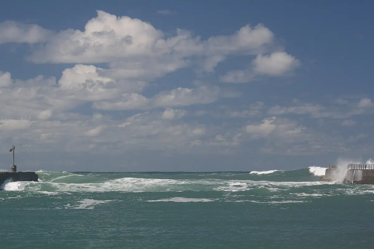 Oceana Beach and Wildlife Reserve