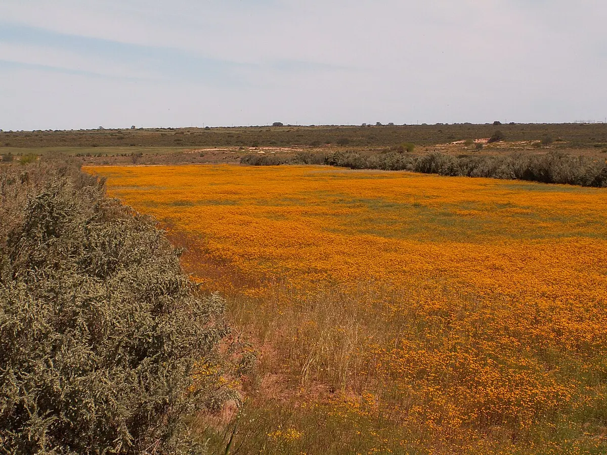 Graafwater