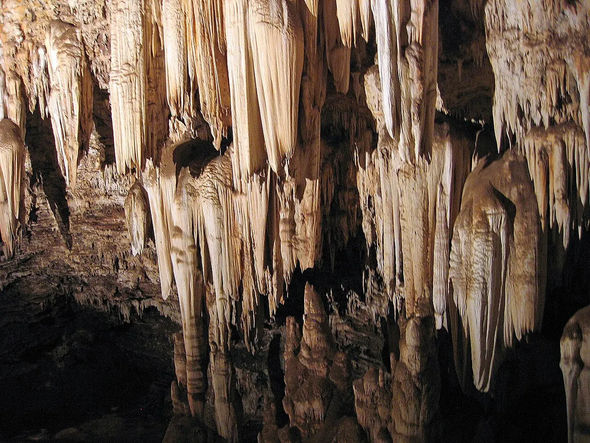 Bothongo WonderCave