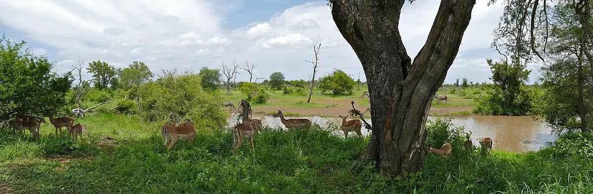 Kruger National Park