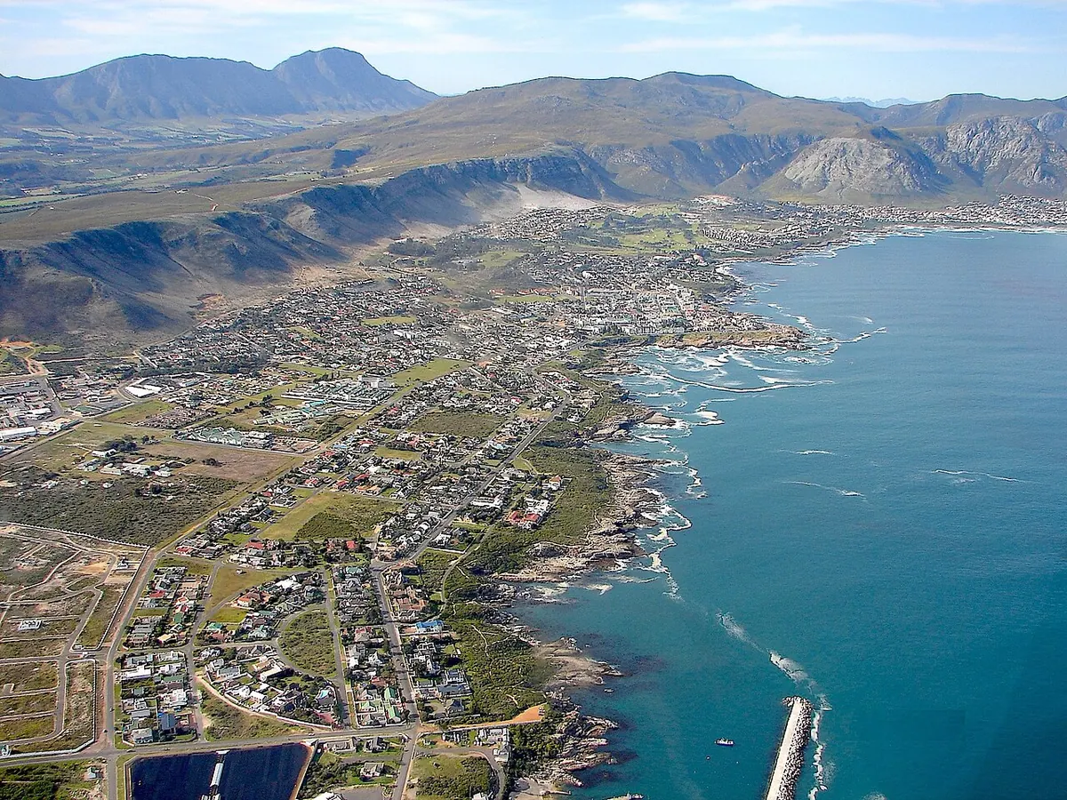 Hermanus Whale Watchers