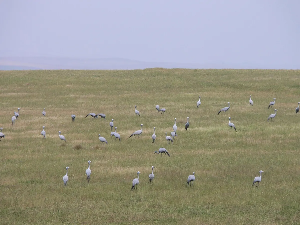 Bontebok National Park
