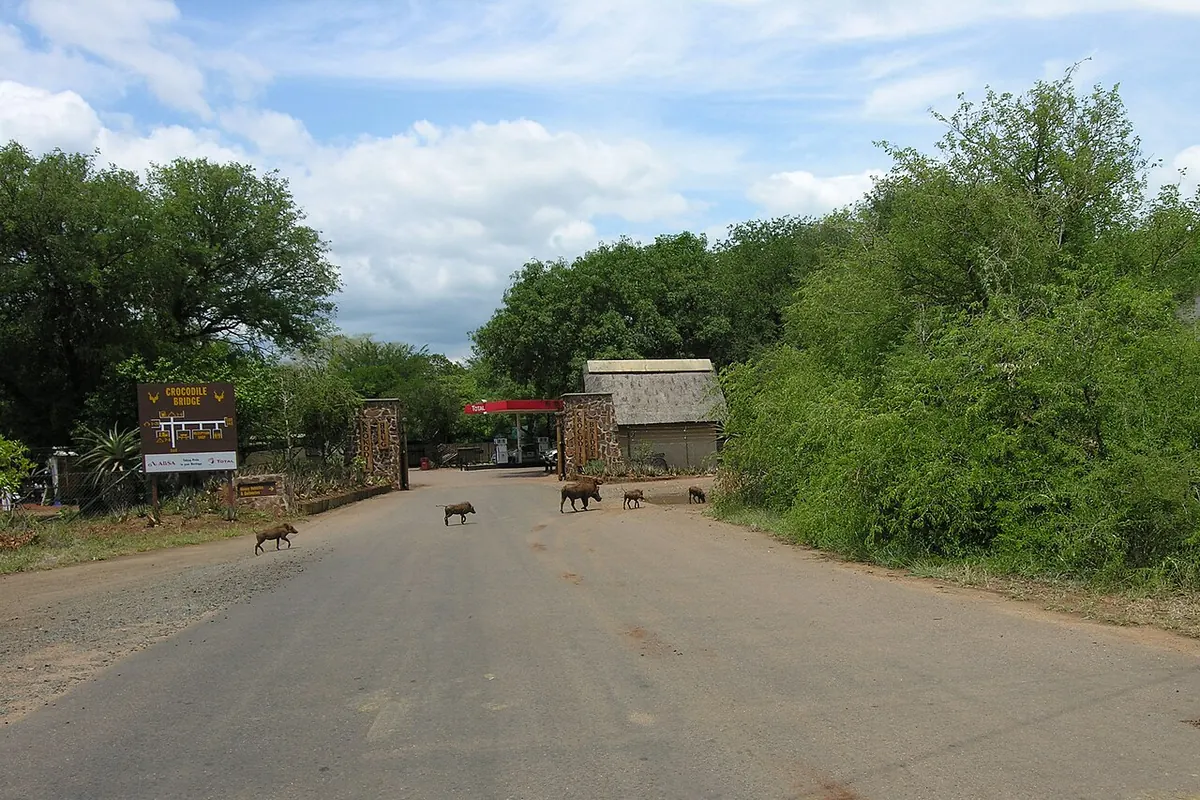 Crocodile Bridge