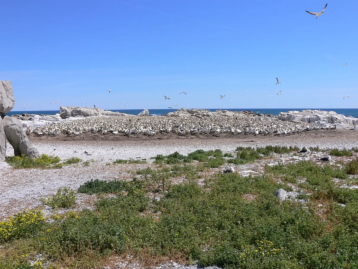 Lambert's Bay