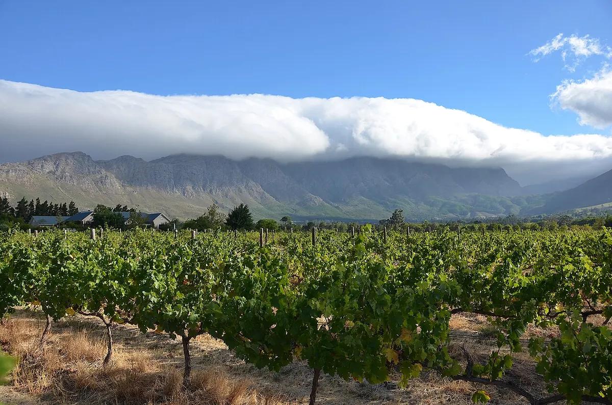 Franschhoek Farm Cottages
