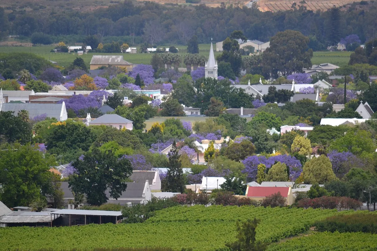 Robertson