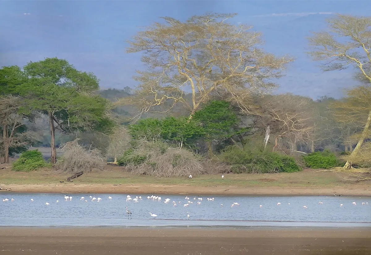 Ndumu Game Reserve