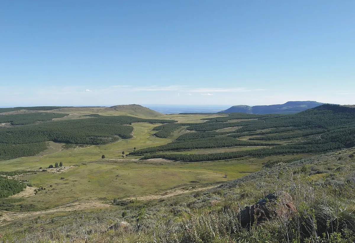 Hogsback