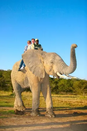 Addo