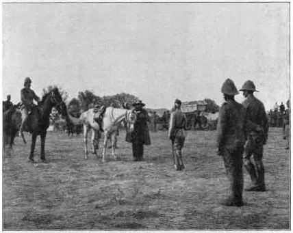 Battle of Paardeberg