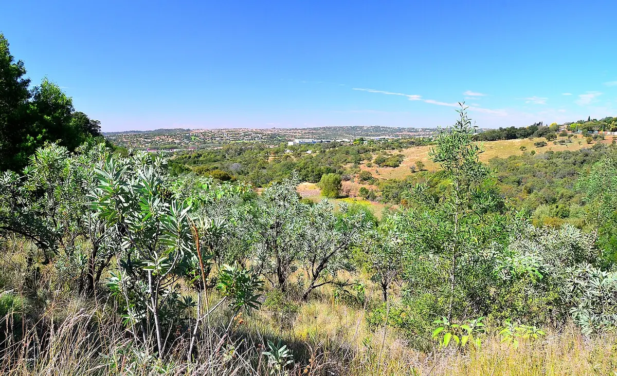 Kloof Bed & Breakfast