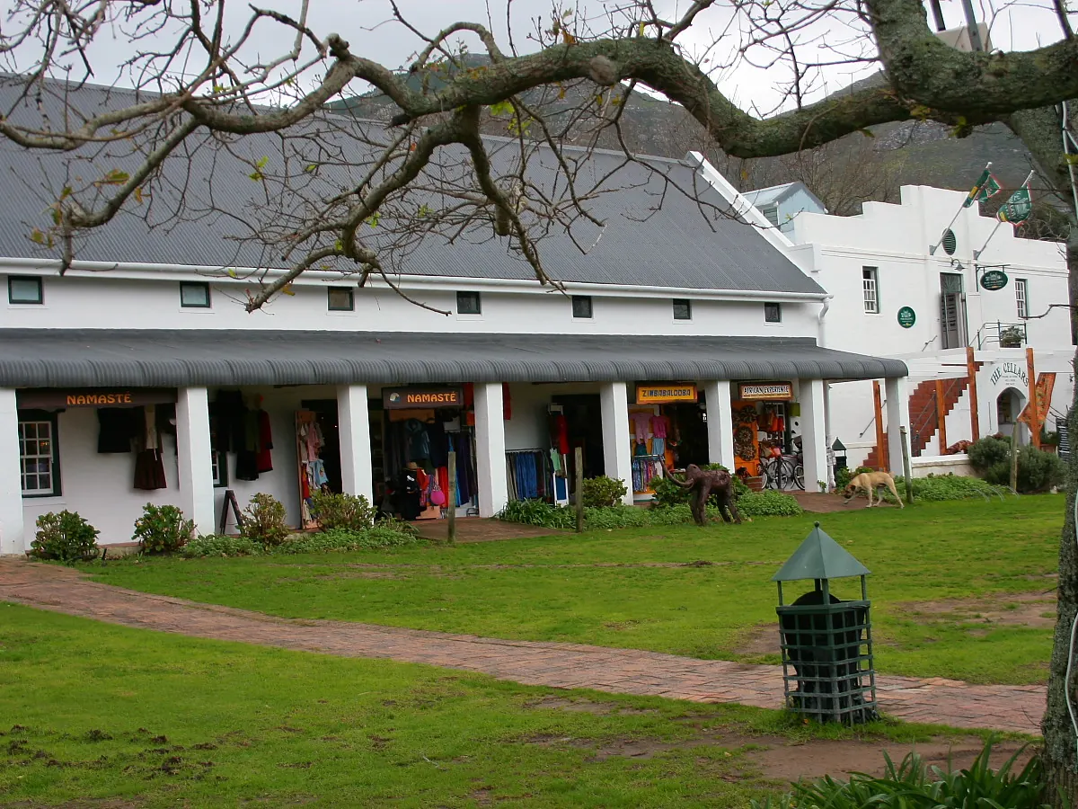 The Toad in the Village