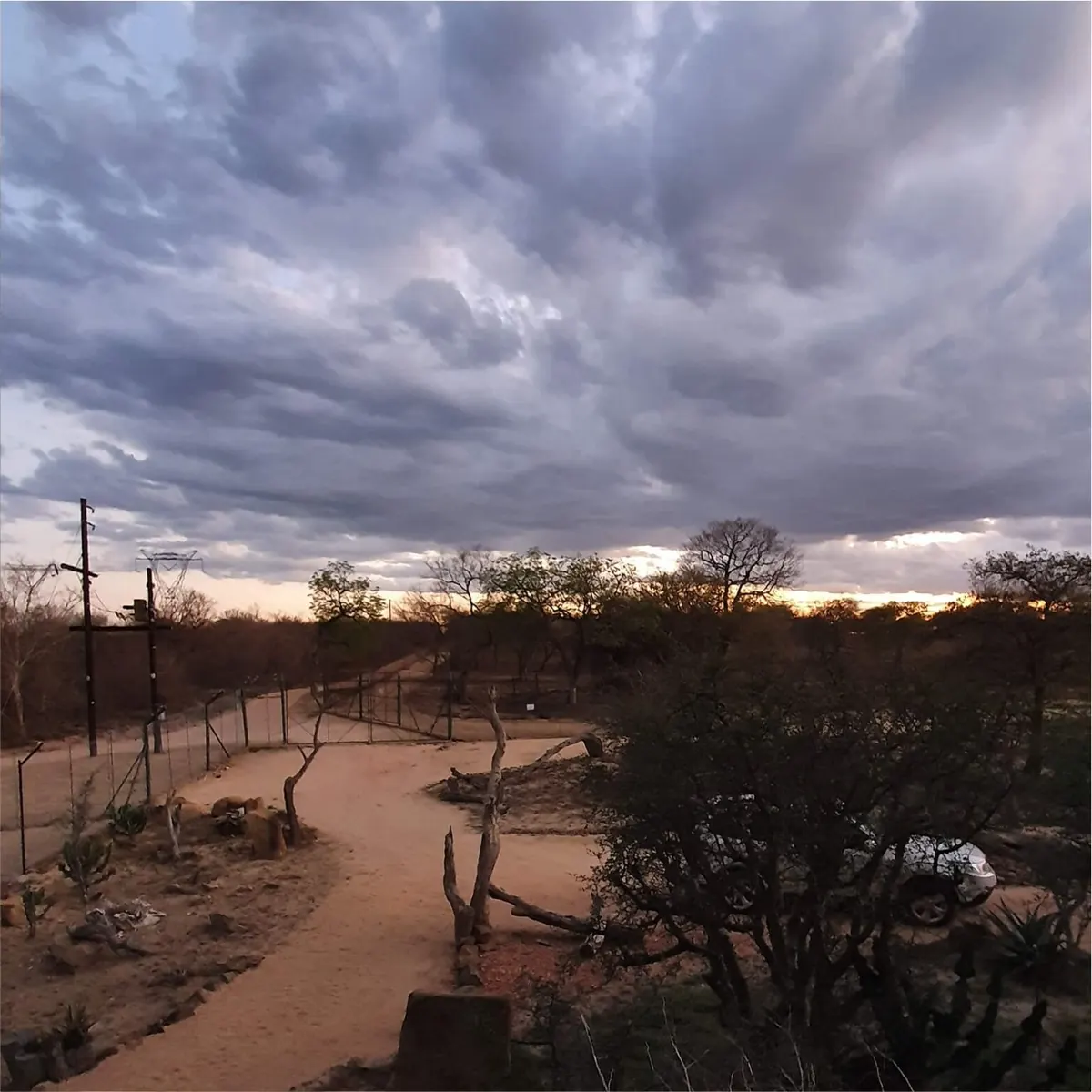 Hoedspruit Endangered Species Centre