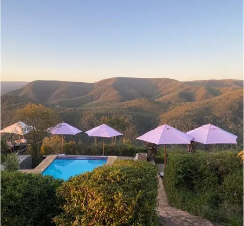 Camp Figtree